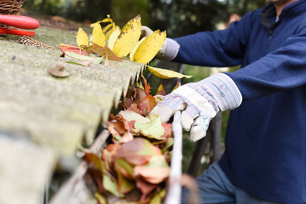 Gutter Cleaning in Sewickley PA