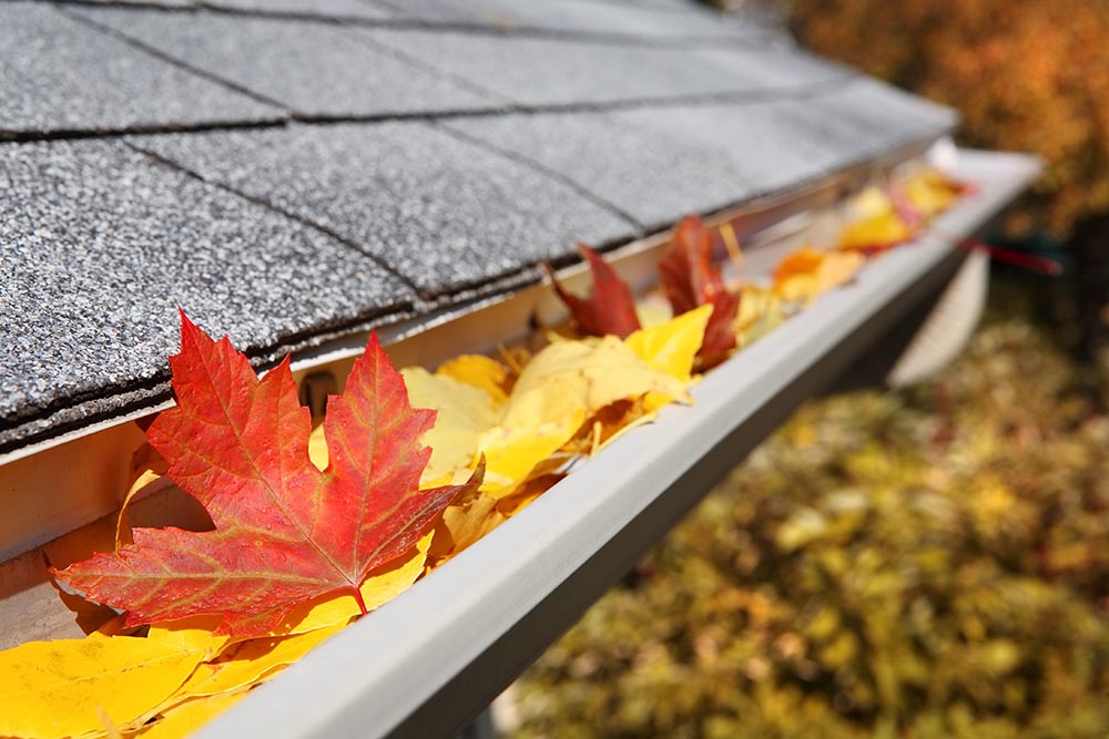 Gutter Cleaning Service Company Austin Tx