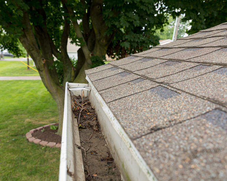 How Often Should My Gutters Be Cleaned? Smart Exteriors