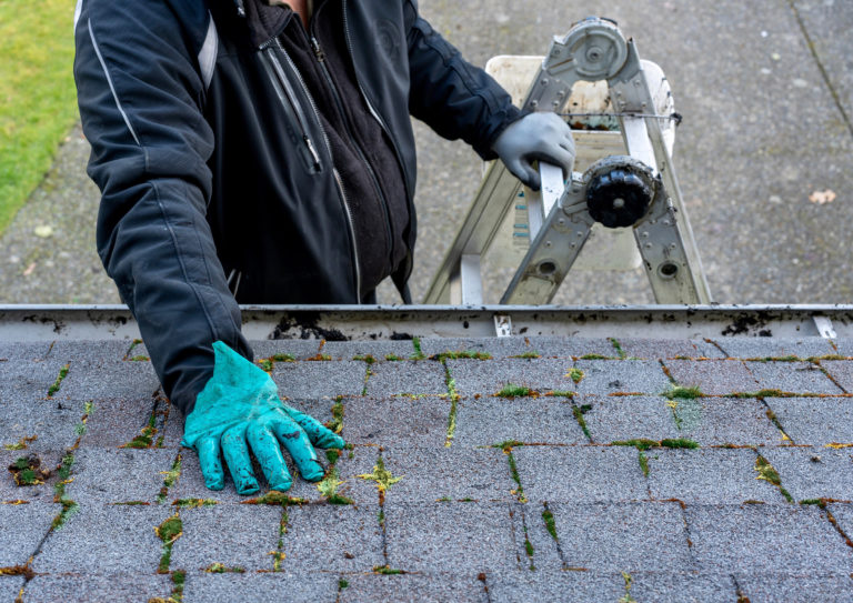Homeowner cleaning algae and moss off of a roof