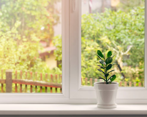 new windows with flowers