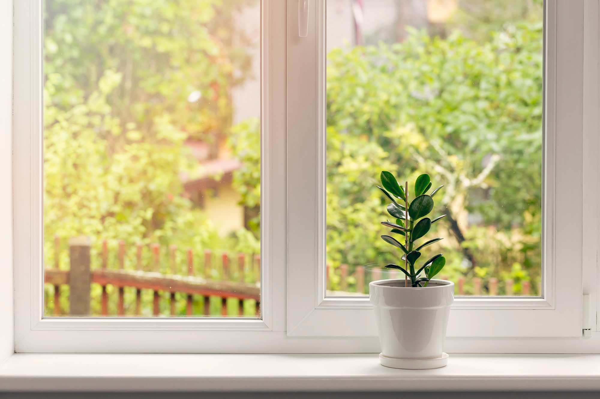 new windows with flowers