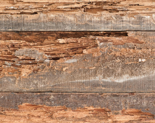 Wood planks with termite damage