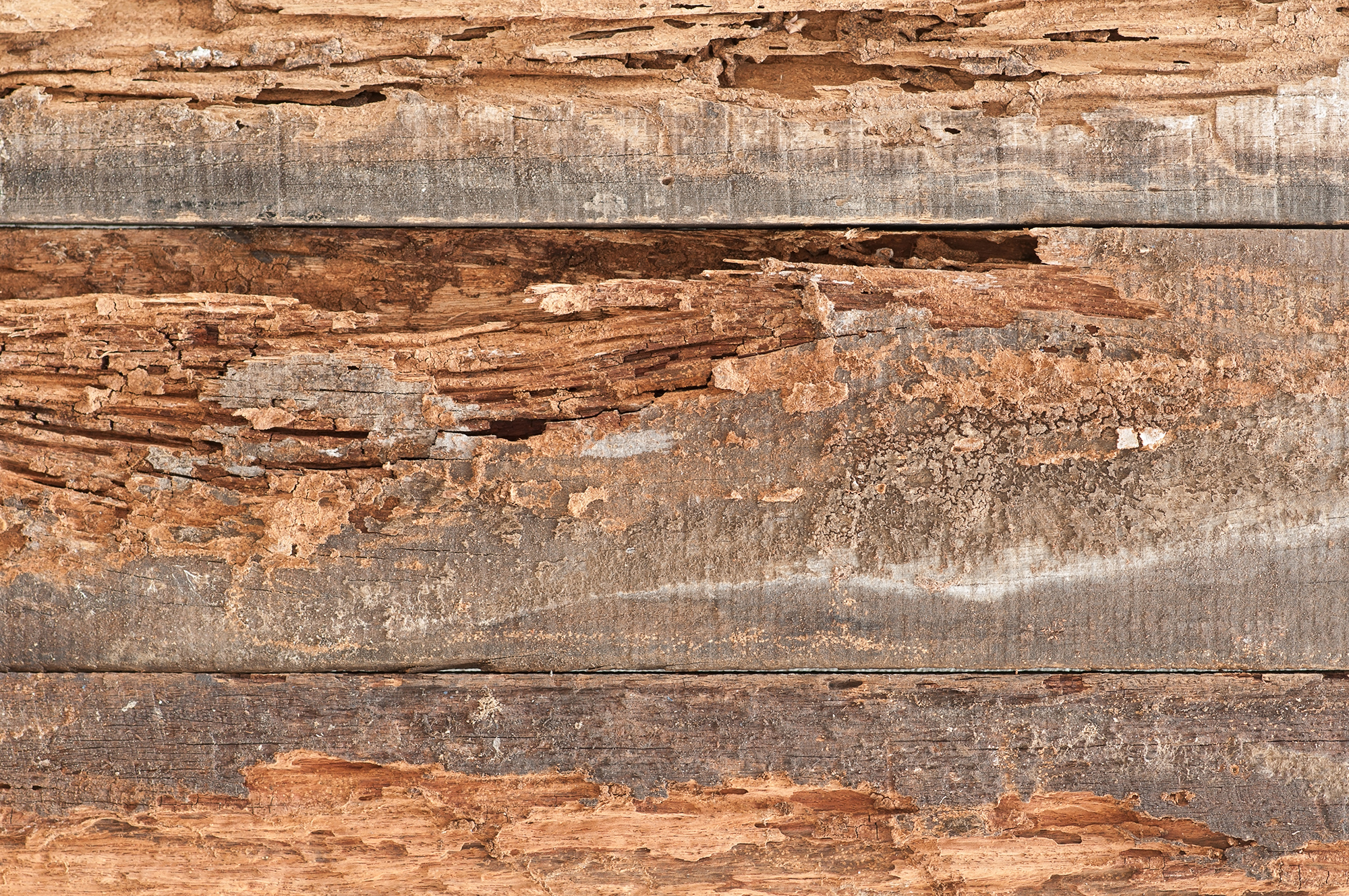 Wood planks with termite damage